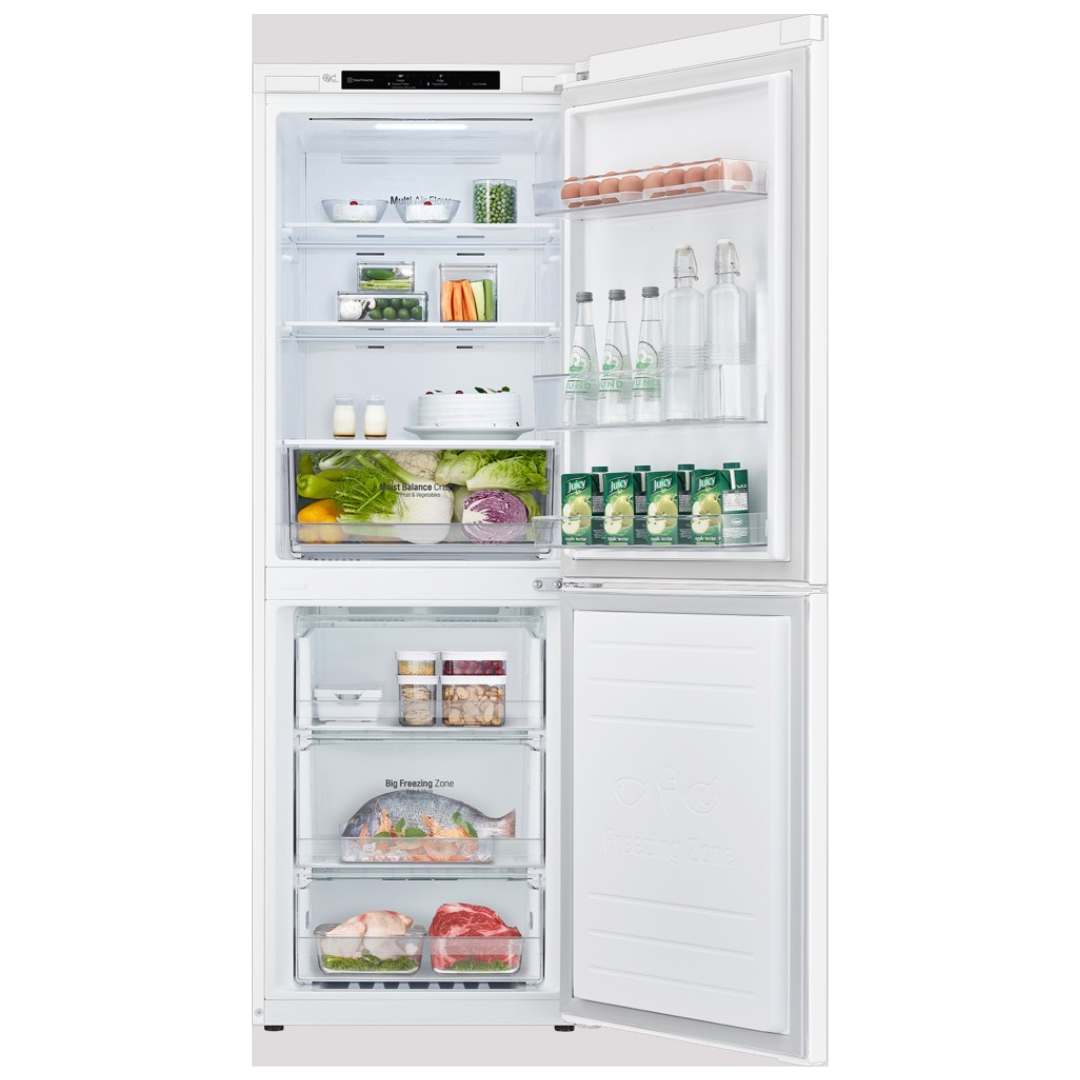 LG 420L Bottom Mount Fridge With Door Cooling White image_2